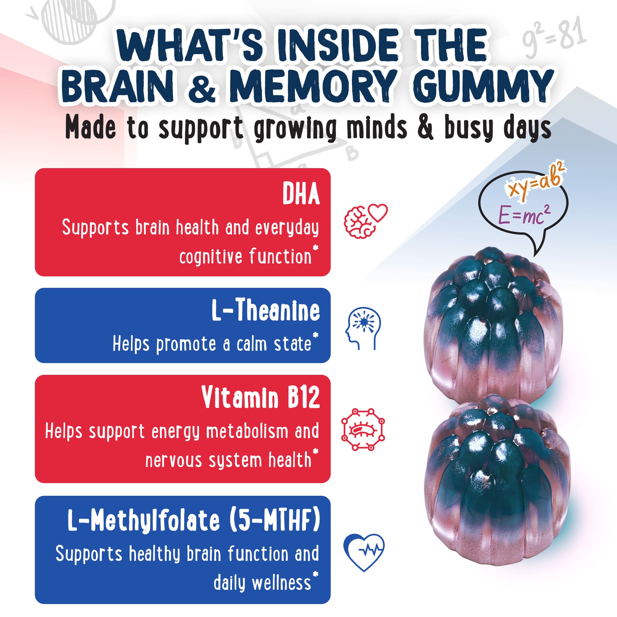 Brain gummies ingredient breakdown showing DHA, L-Theanine, B12 and Methylfolate for kids cognitive support