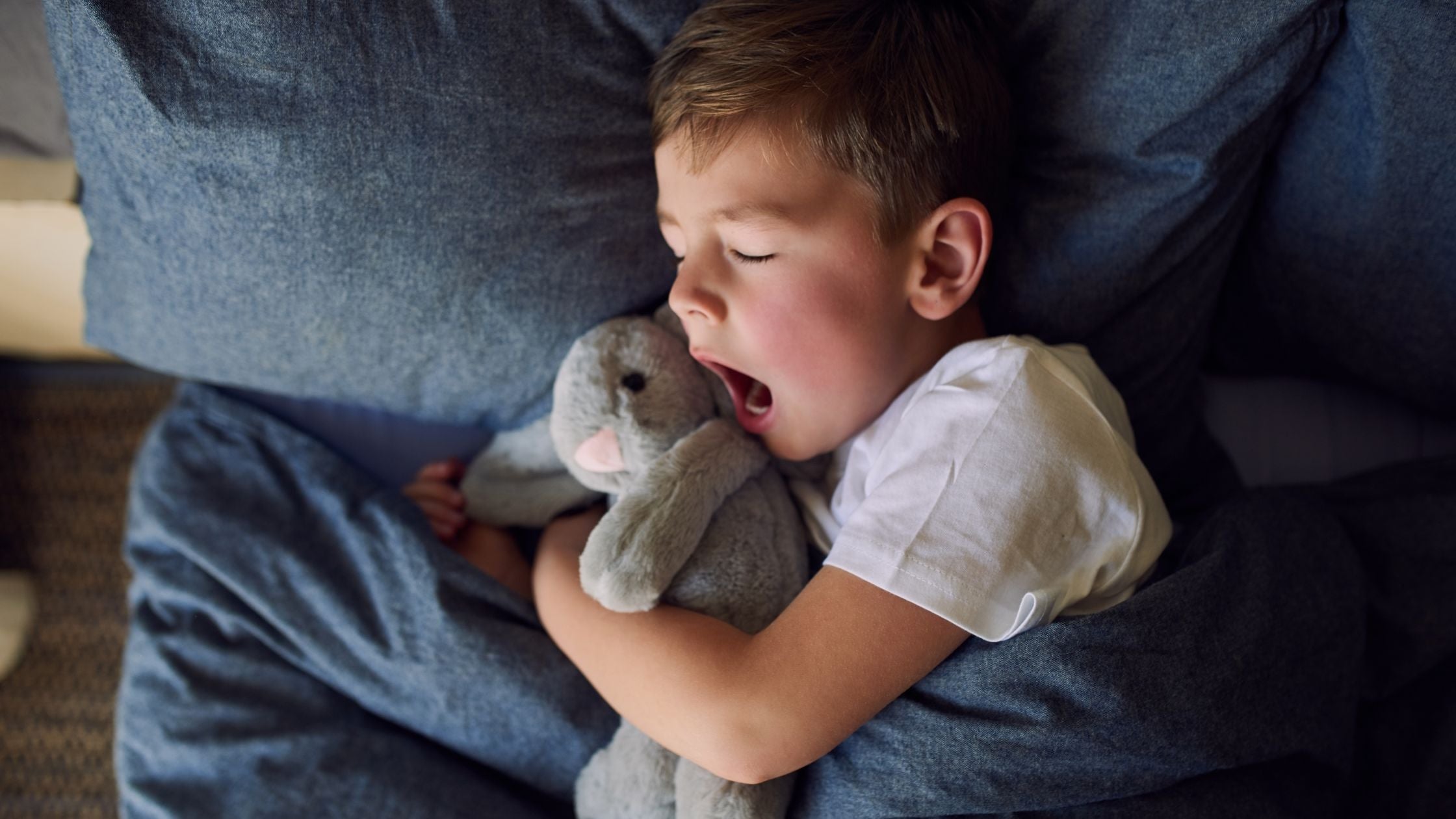 Sleep Gummies 