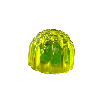 Probiotic
